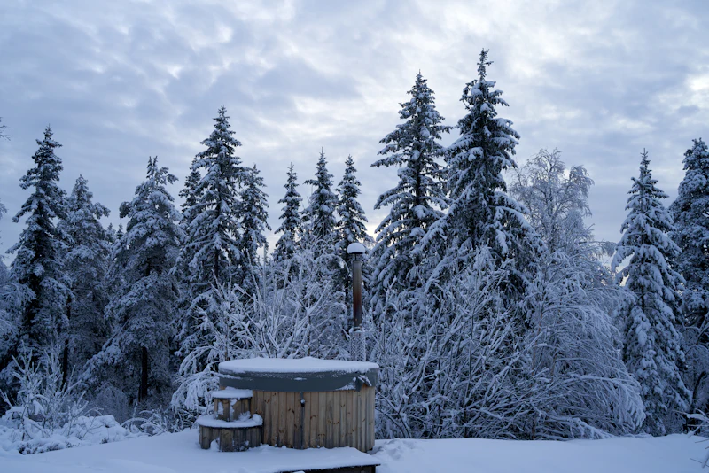 Puinen palju lumisen metsän keskellä